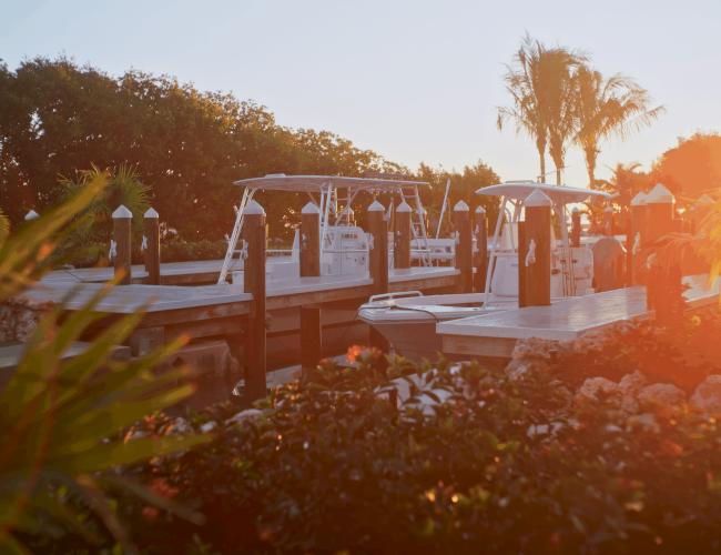 A peaceful marina at sunset with boats docked along the pier, palm trees in the background, and warm orange sunlight glowing over the scene.