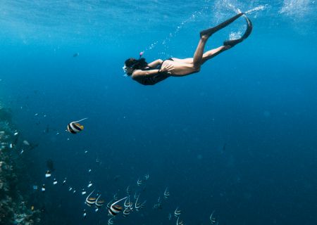 A scuba diver descending into deep blue water, leaving a trail of bubbles as they explore the ocean.