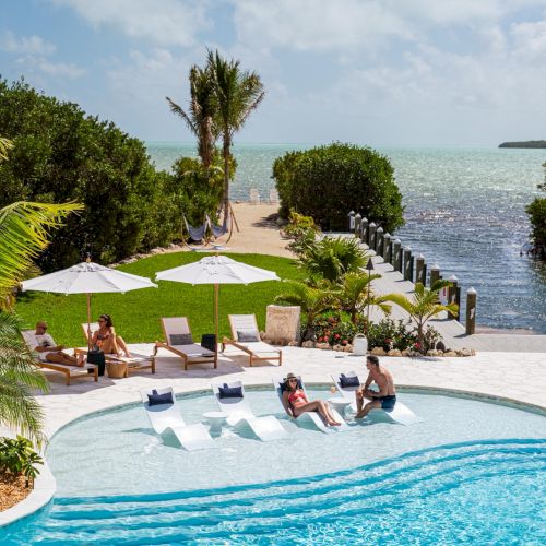 Tropical resort pool by the beach, with sunbathers on loungers, lush palms, and a turquoise ocean stretching to the horizon.